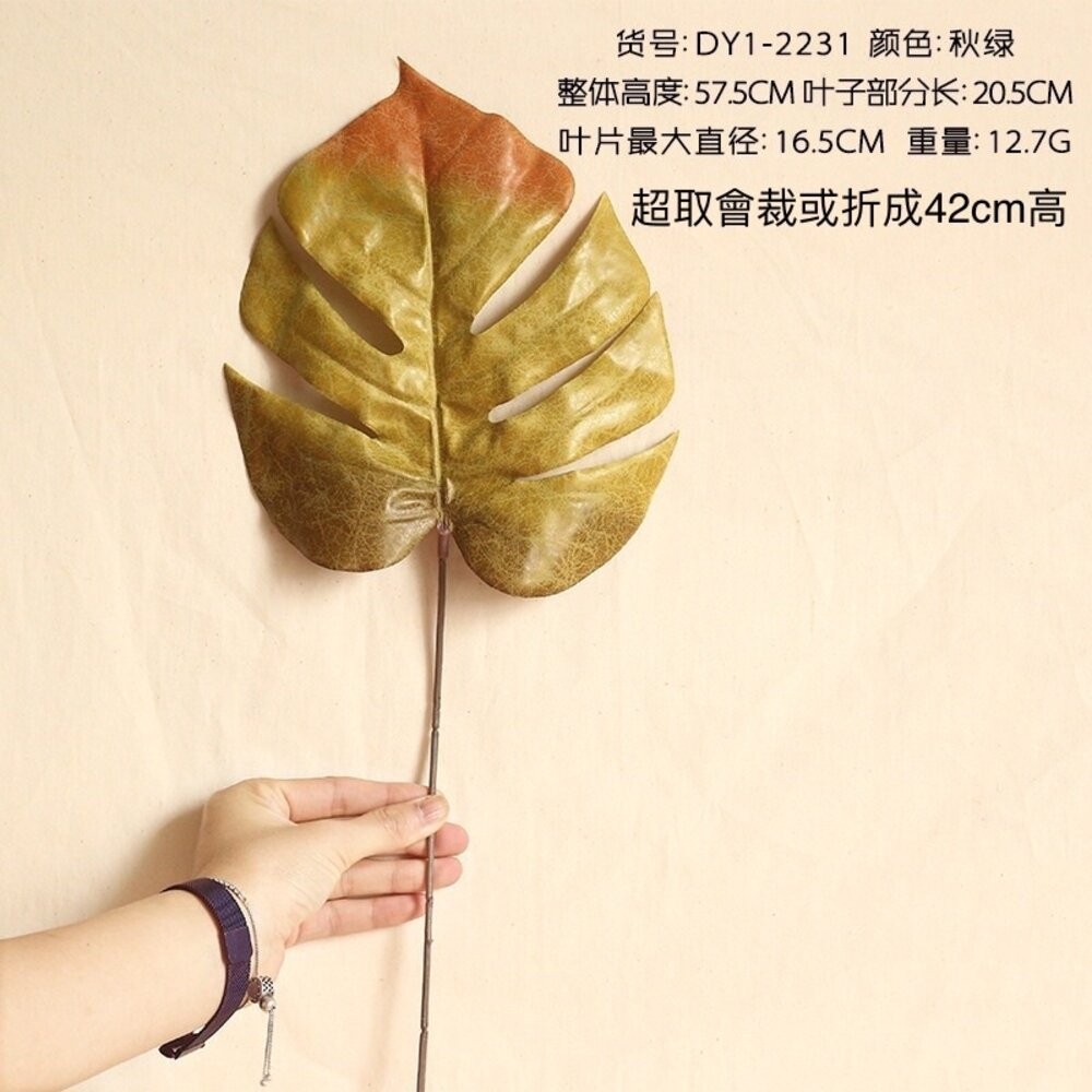 龜背葉 復古龜背葉 仿真龜背葉 復古秋色樹葉 仿真葉子 仿真植物 拍照道具 拍照背景【GXS拍照道具】-規格圖7