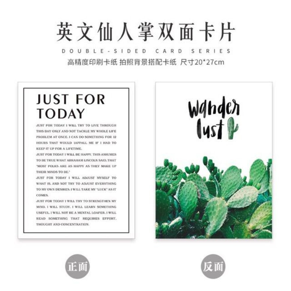 B11英文仙人掌卡