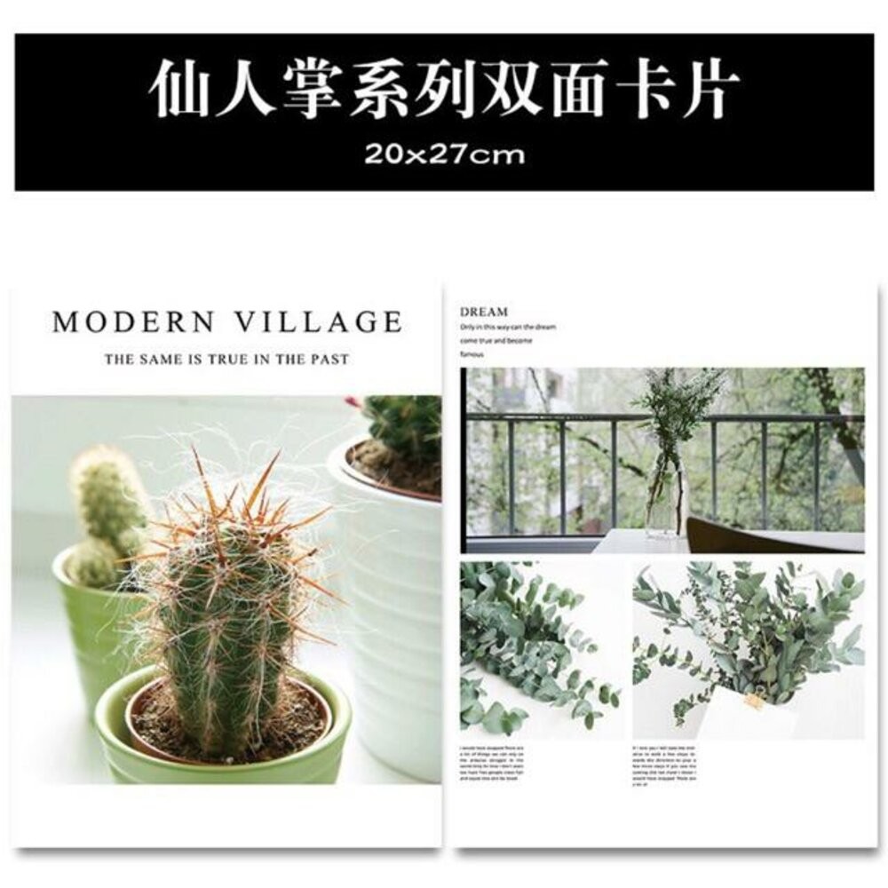 A07仙人掌系列卡