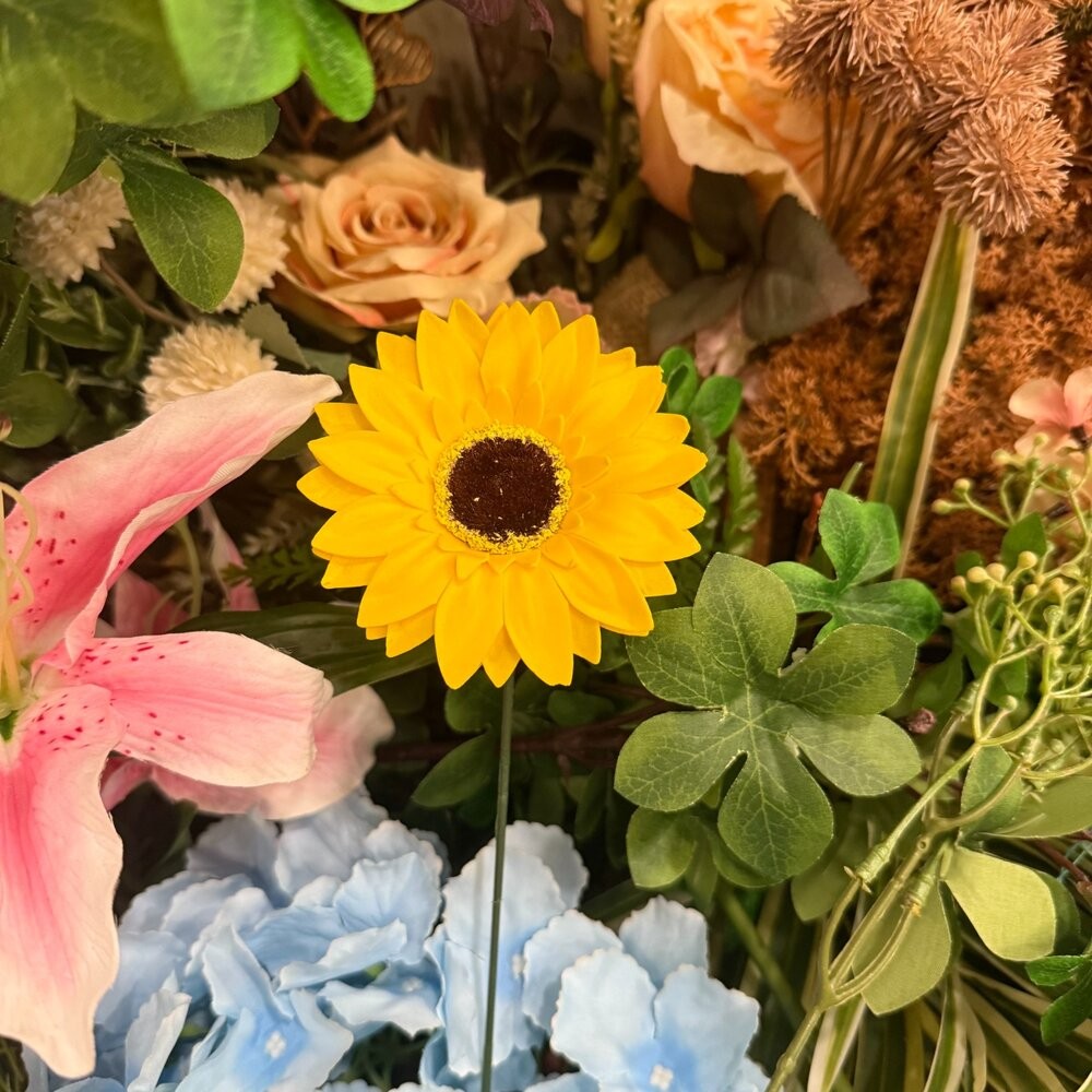 香皂花 向日葵 太陽花-細節圖5