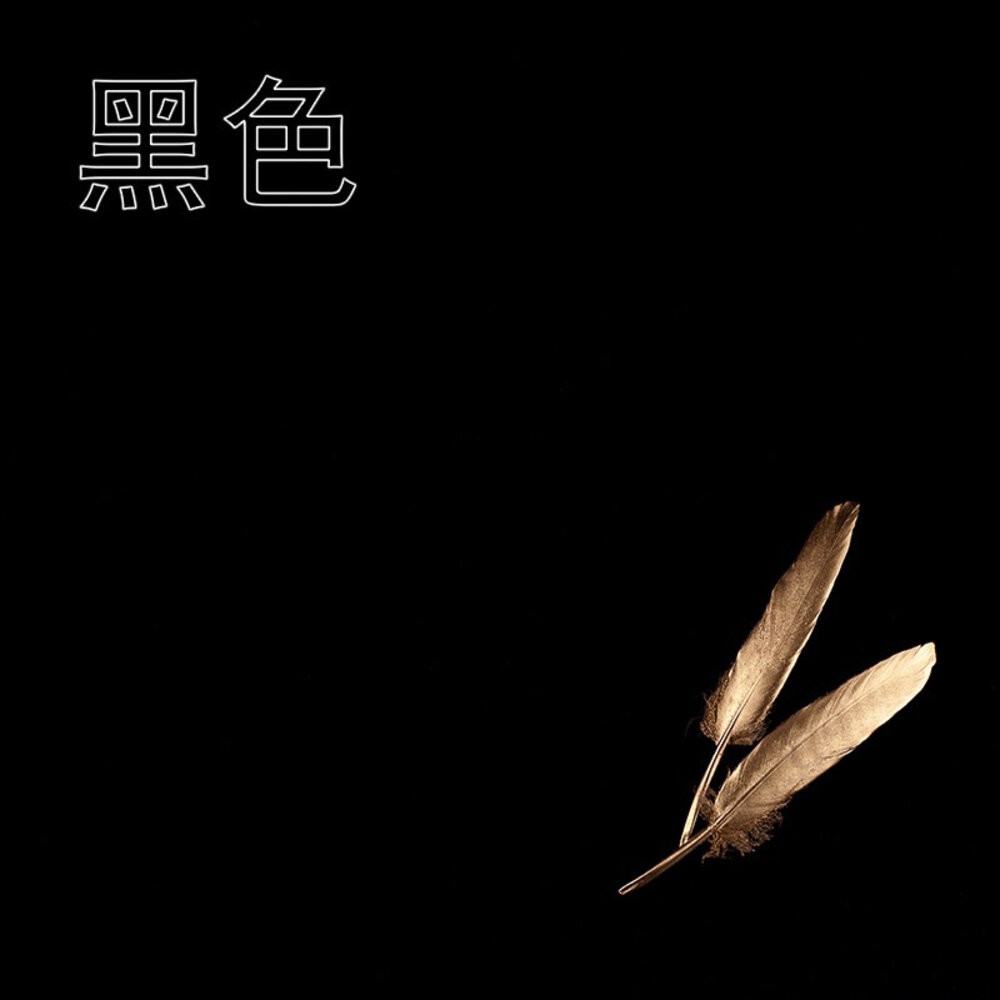 吸光布 拍照背景布 拍照道具 攝影背景-細節圖2