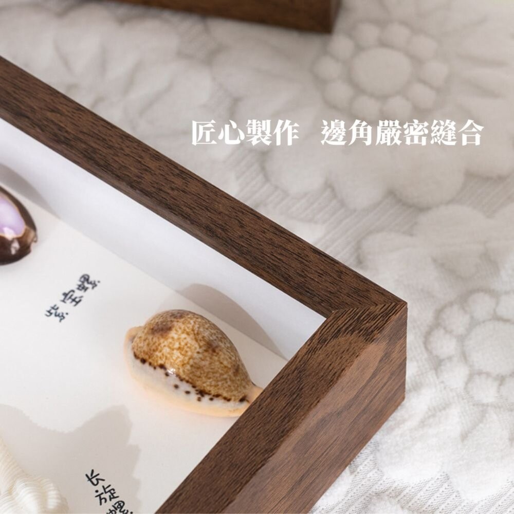 標本框 質感標本框 昆蟲標本框 標本收納 展示相框 壓花植物標本 收藏框 裝飾框-細節圖3