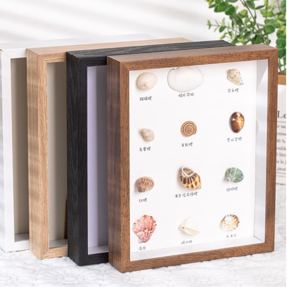 標本框 質感標本框 昆蟲標本框 標本收納 展示相框 壓花植物標本 收藏框 裝飾框-細節圖6