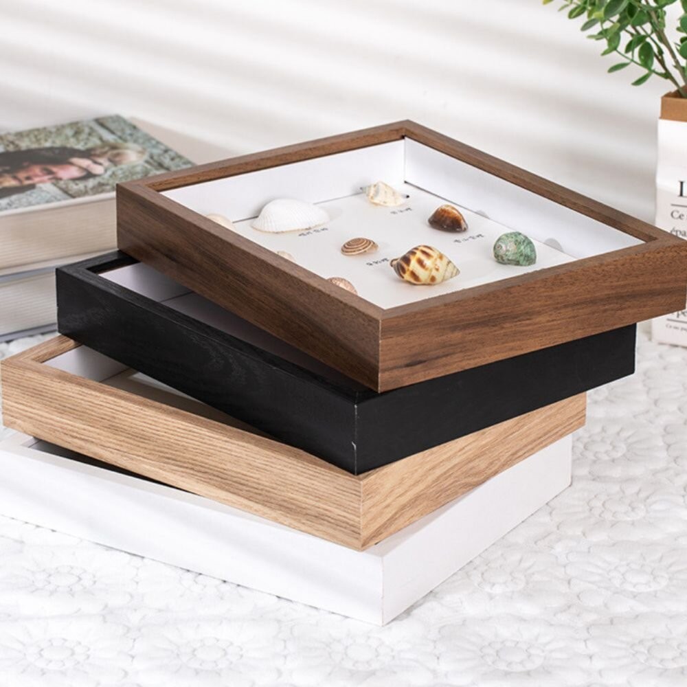 標本框 質感標本框 昆蟲標本框 標本收納 展示相框 壓花植物標本 收藏框 裝飾框-細節圖7