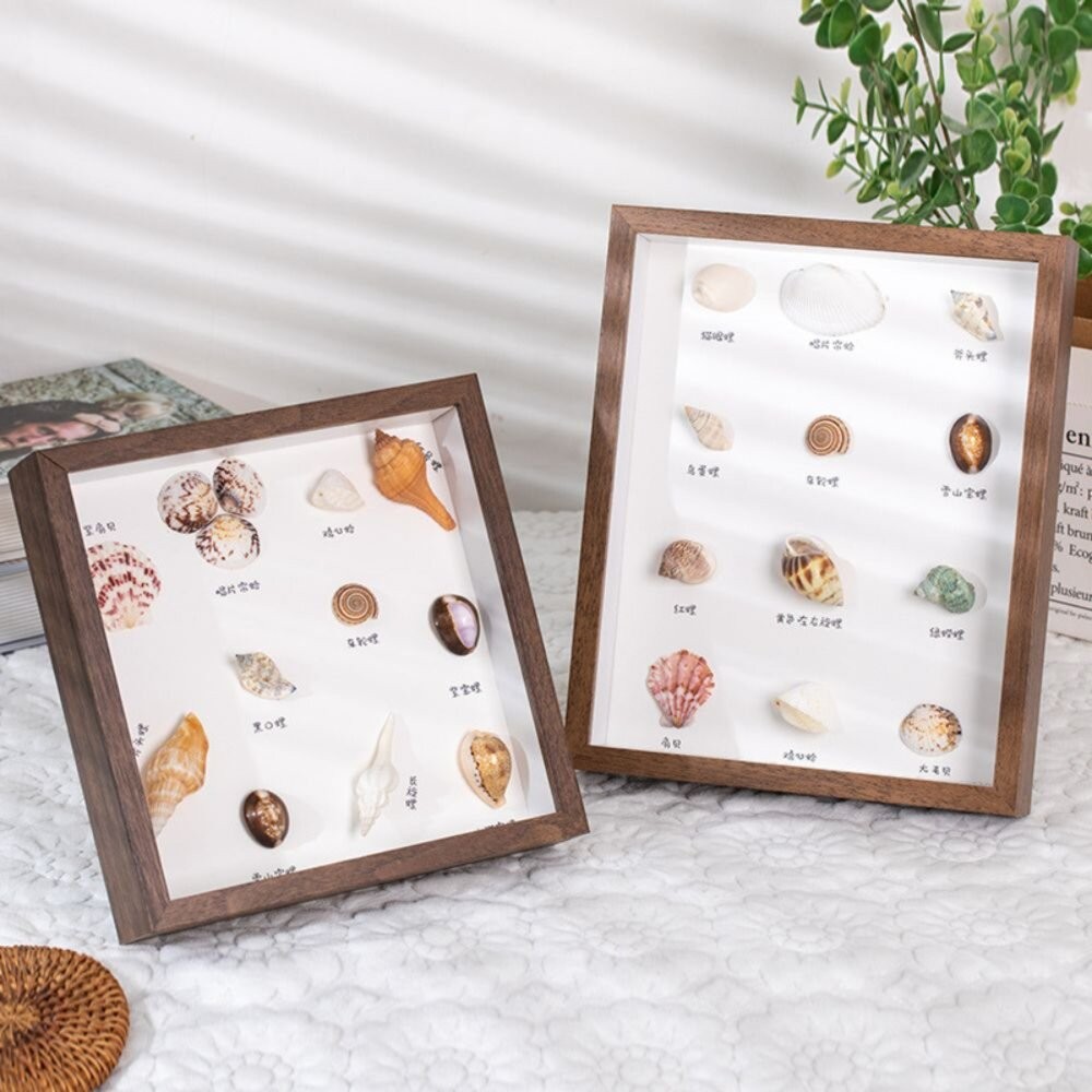 標本框 質感標本框 昆蟲標本框 標本收納 展示相框 壓花植物標本 收藏框 裝飾框-細節圖8