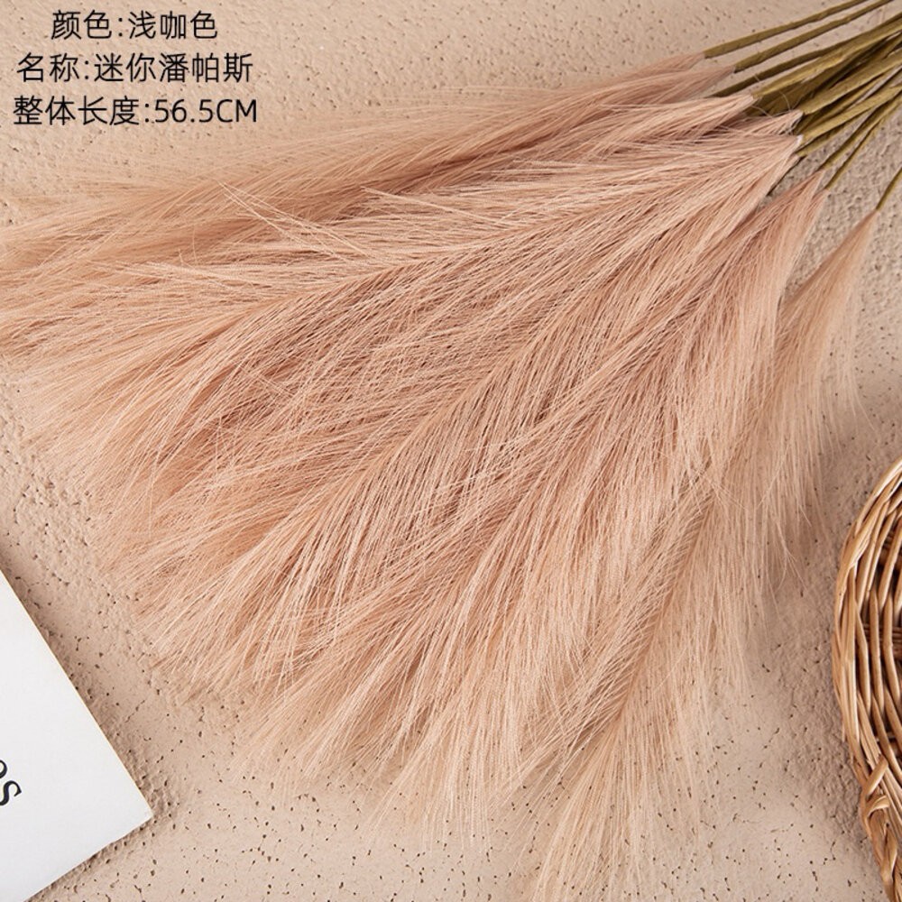 【森林海】蘆葦草 仿真蘆葦草 迷你蘆葦草 迷你潘帕斯蘆葦草 仿真花 人造花 居家擺設 拍照道具-規格圖6