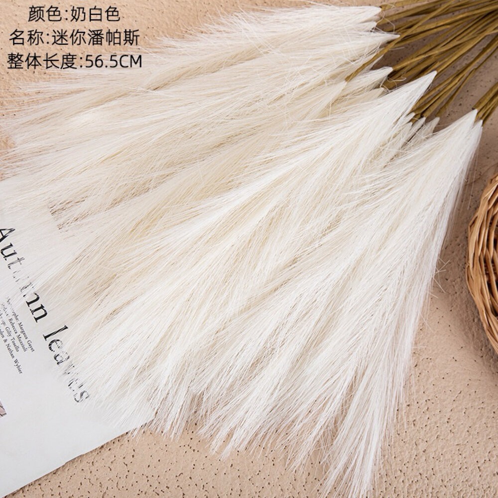 【森林海】蘆葦草 仿真蘆葦草 迷你蘆葦草 迷你潘帕斯蘆葦草 仿真花 人造花 居家擺設 拍照道具-規格圖6