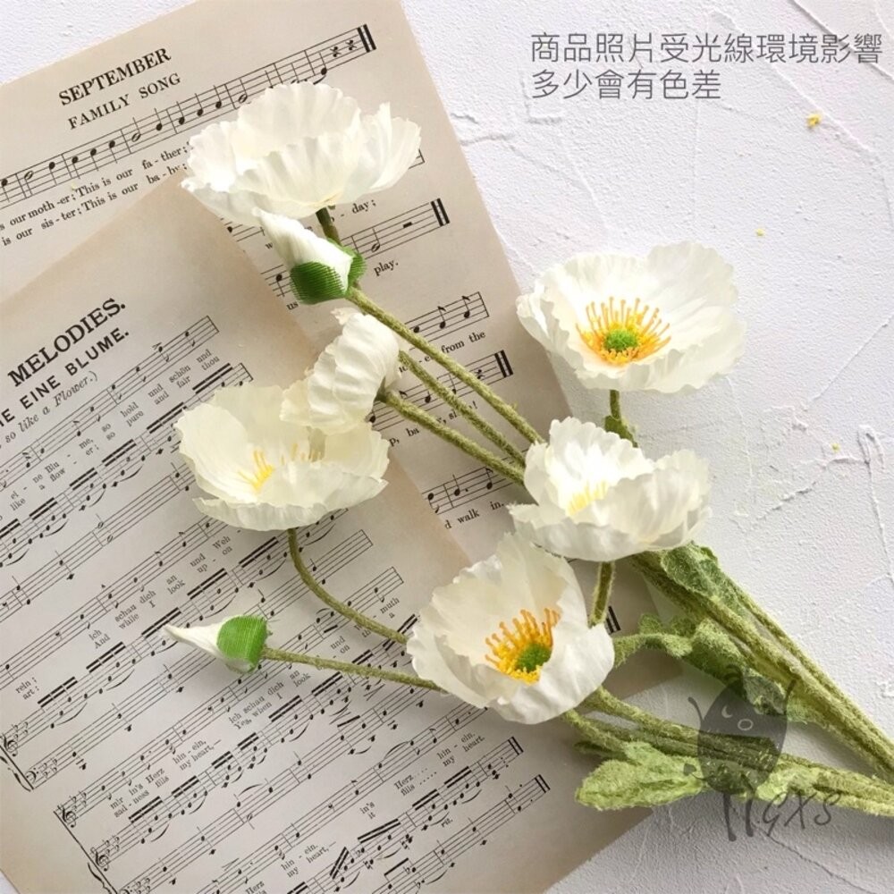 仿真花 仿真罌粟花 虞美人 假花 仿真植物 拍照背景 拍照小物 拍照道具【GXS拍照道具】-細節圖5