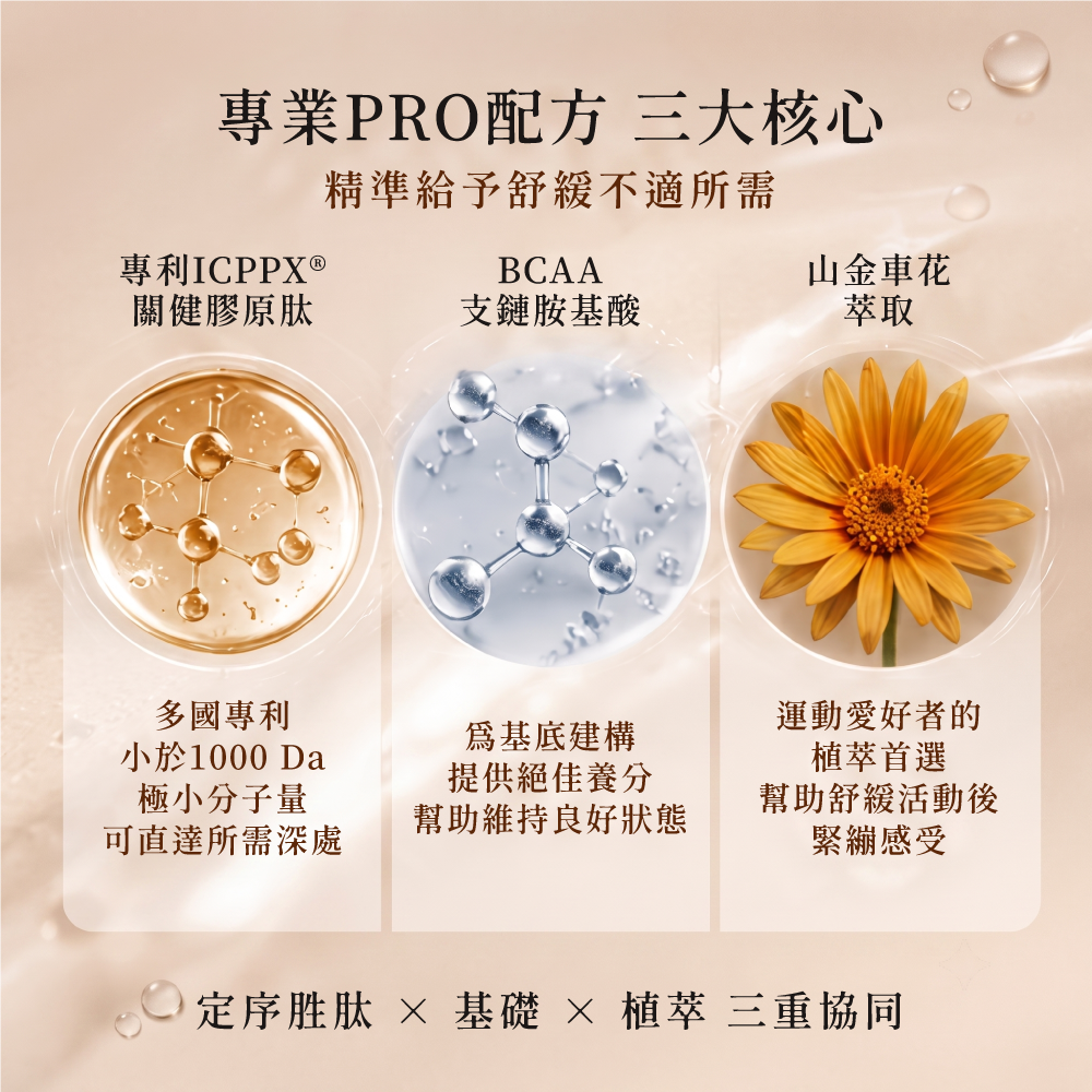 【扭力肽】關健膠原肽熱感按摩霜(100g) 擦的二型膠原蛋白 ICPPX®第三代生物合成肽 熱感舒緩【寶貝康司】-細節圖5