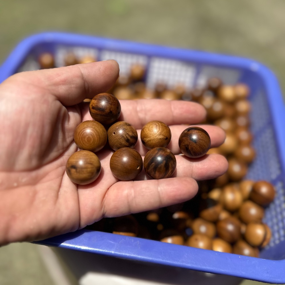 台灣肖楠手珠-細節圖2