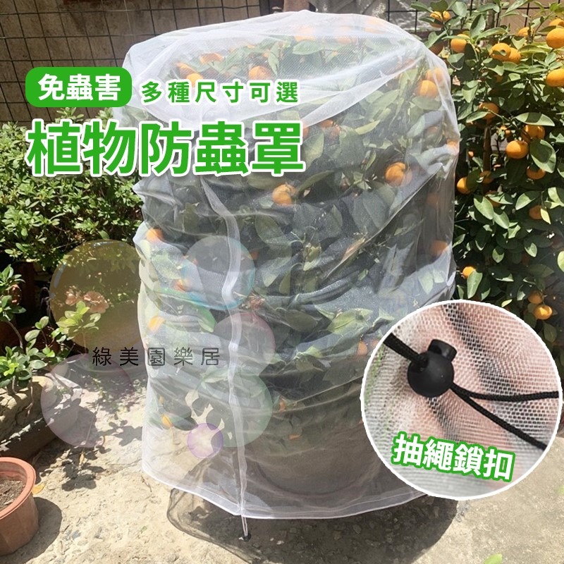 果樹防蟲防鳥罩【綠美園樂居】防蟲 防鳥 防蟲罩 防鳥罩 防蟲網 防鳥網 果樹網 花果防寵網 花果防鳥網 樹葡萄防鳥防蟲-細節圖2