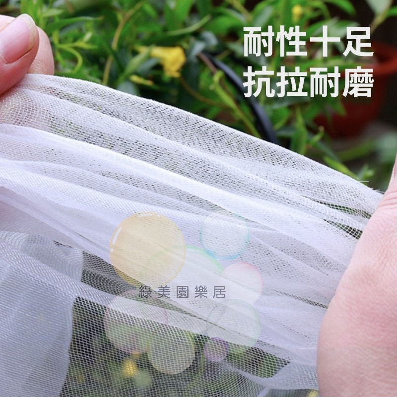 果樹防蟲防鳥罩【綠美園樂居】防蟲 防鳥 防蟲罩 防鳥罩 防蟲網 防鳥網 果樹網 花果防寵網 花果防鳥網 樹葡萄防鳥防蟲-細節圖3