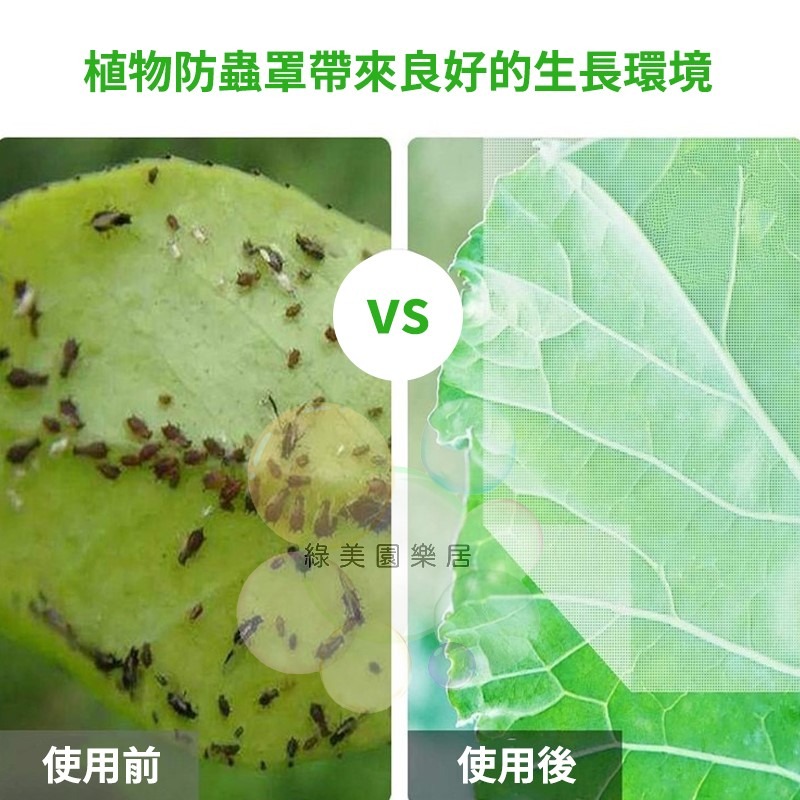 果樹防蟲防鳥罩【綠美園樂居】防蟲 防鳥 防蟲罩 防鳥罩 防蟲網 防鳥網 果樹網 花果防寵網 花果防鳥網 樹葡萄防鳥防蟲-細節圖4