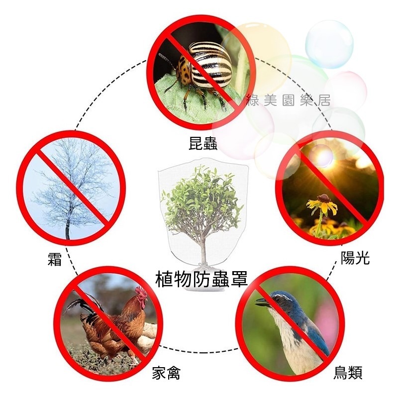 果樹防蟲防鳥罩【綠美園樂居】防蟲 防鳥 防蟲罩 防鳥罩 防蟲網 防鳥網 果樹網 花果防寵網 花果防鳥網 樹葡萄防鳥防蟲-細節圖5