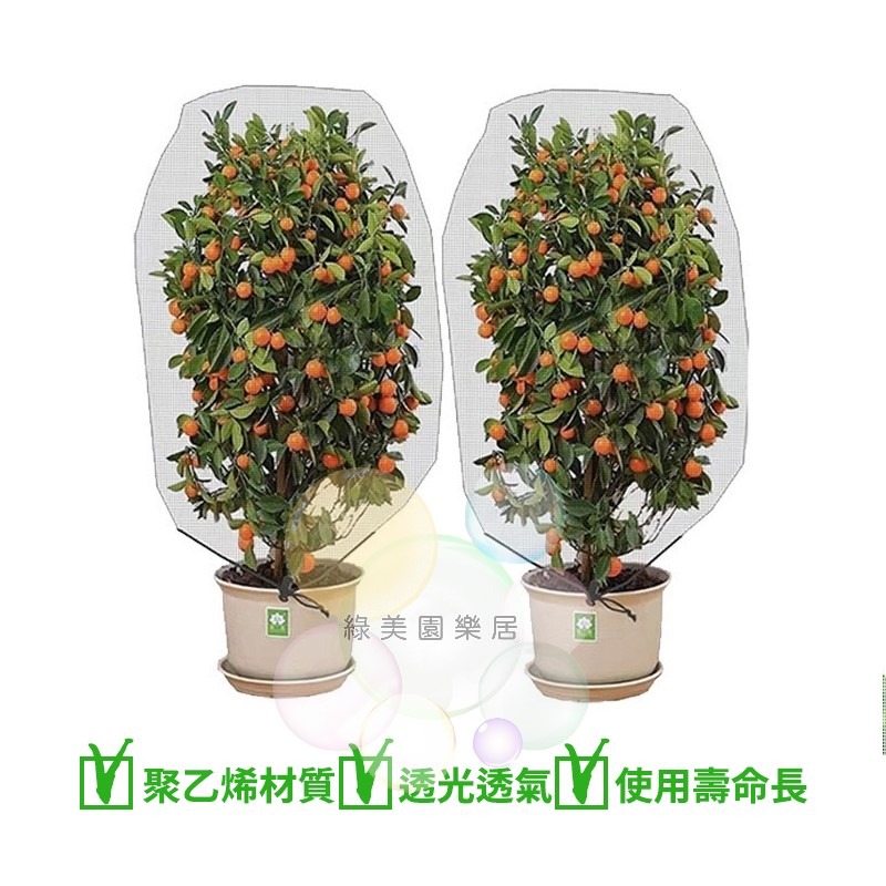 果樹防蟲防鳥罩【綠美園樂居】防蟲 防鳥 防蟲罩 防鳥罩 防蟲網 防鳥網 果樹網 花果防寵網 花果防鳥網 樹葡萄防鳥防蟲-細節圖6