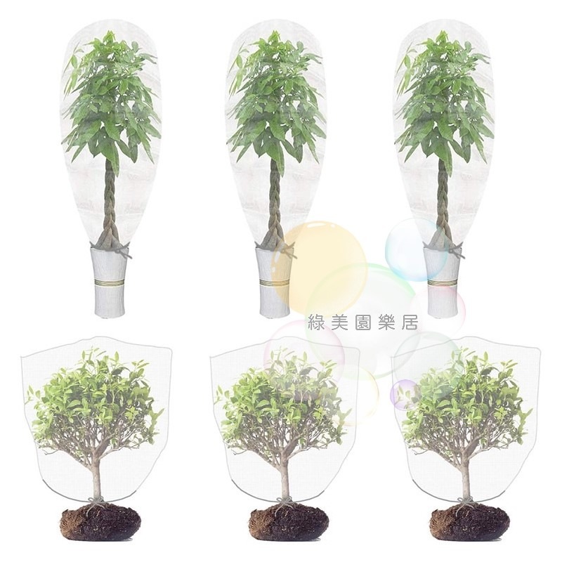 果樹防蟲防鳥罩【綠美園樂居】防蟲 防鳥 防蟲罩 防鳥罩 防蟲網 防鳥網 果樹網 花果防寵網 花果防鳥網 樹葡萄防鳥防蟲-細節圖7