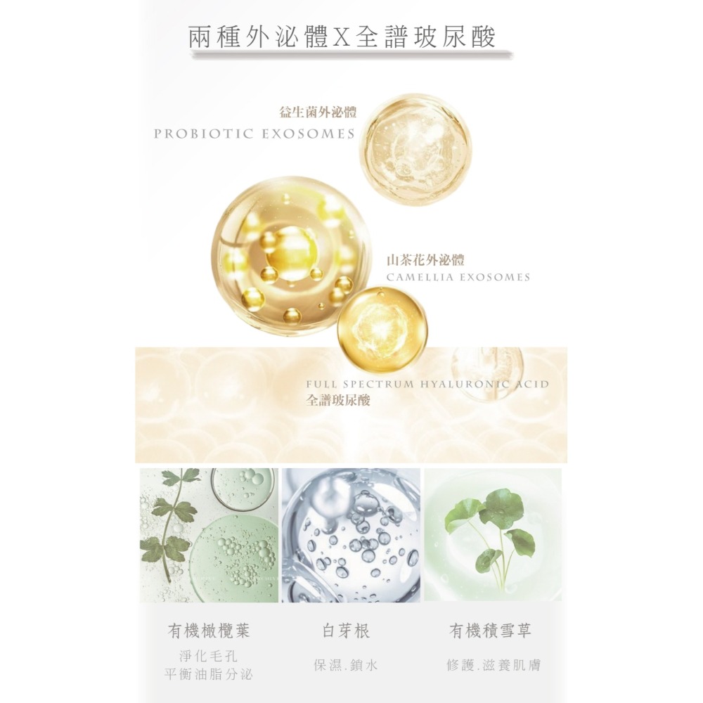 精萃外泌體洗卸潔顏慕斯-細節圖4