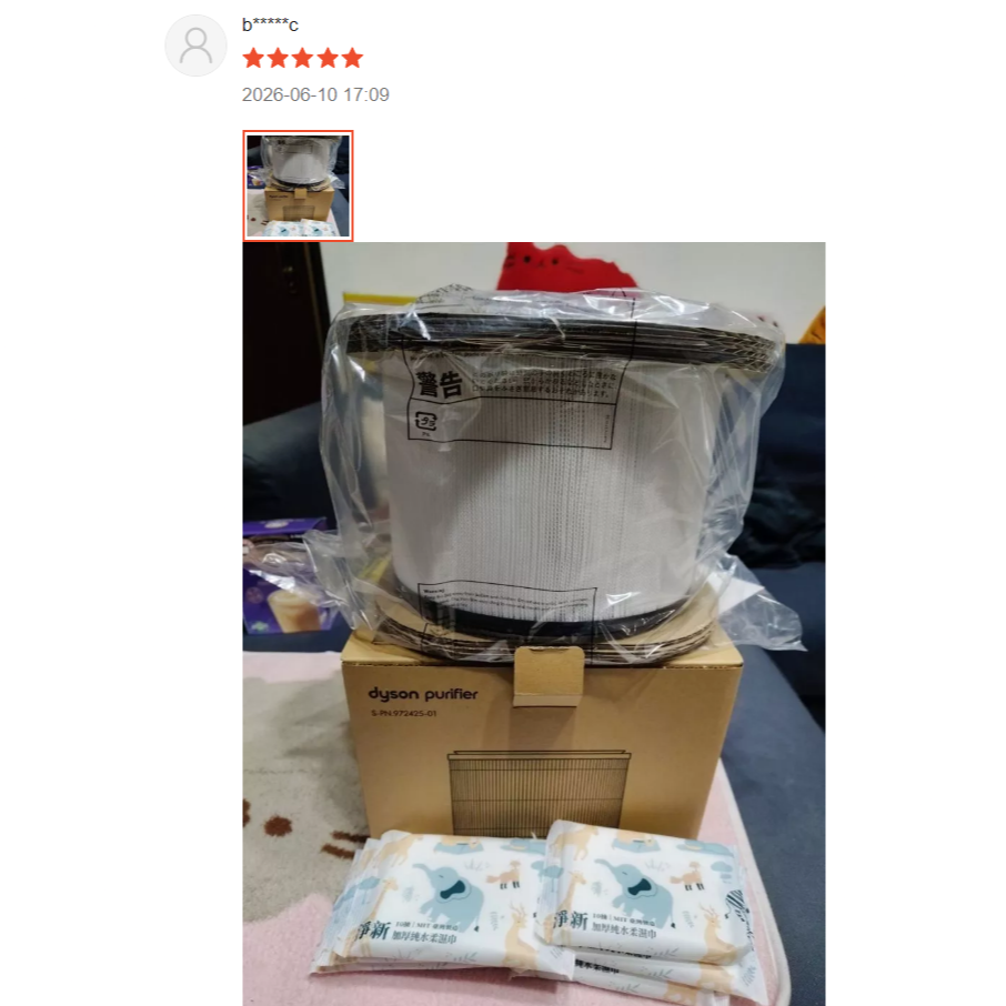 【Fun心買商城】恆隆行 dyson 戴森HP系列空氣濾網 HP00/HP01/HP02/HP03 972425-01-細節圖4