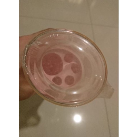 [全新] 模範牌 牙刷牙膏杯架組 未使用-細節圖2