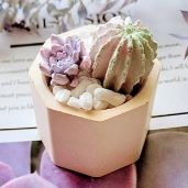 💗超療癒🌸多肉植物盆栽擴香石🌵仙人掌🌸婚禮小物❄聖誕交換禮物🎁情人💕生日禮物畢業禮物🍀居家/車用芳香-細節圖3