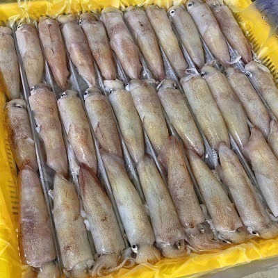 【享島鮮物】澎湖小管小卷小捲鎖管透抽砲管拇指卷迷你捲-細節圖8