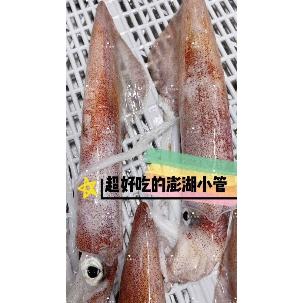 【享島鮮物】澎湖小管小卷小捲鎖管透抽砲管拇指卷迷你捲-細節圖2