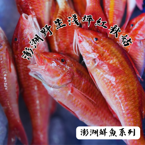 【享島鮮物】澎湖鮮魚_野生紅秋姑-細節圖2