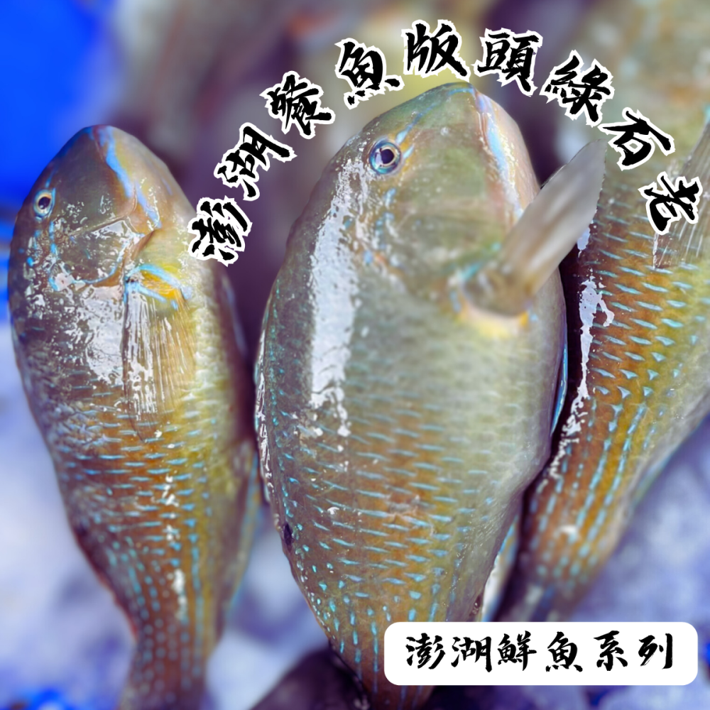 【享島鮮物】澎湖鮮魚_綠石老綠石佬-細節圖3