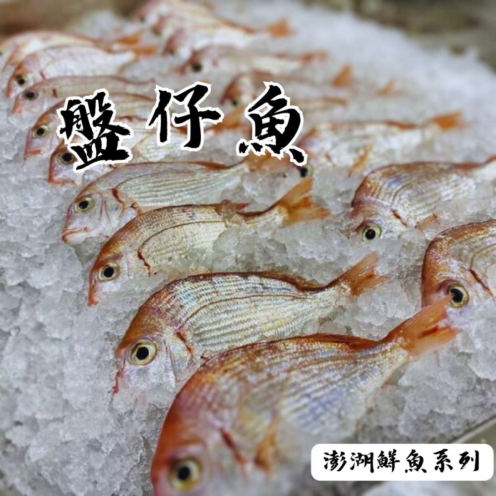 【享島鮮物】澎湖鮮魚_野生盤仔魚 二尾入-細節圖2