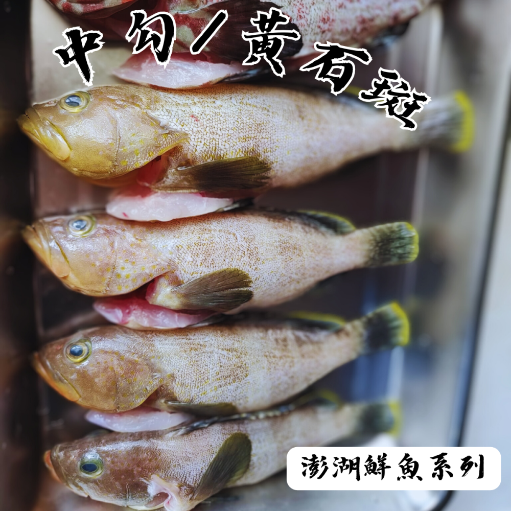 澎湖鮮魚_綜合魚箱海鮮箱-細節圖6