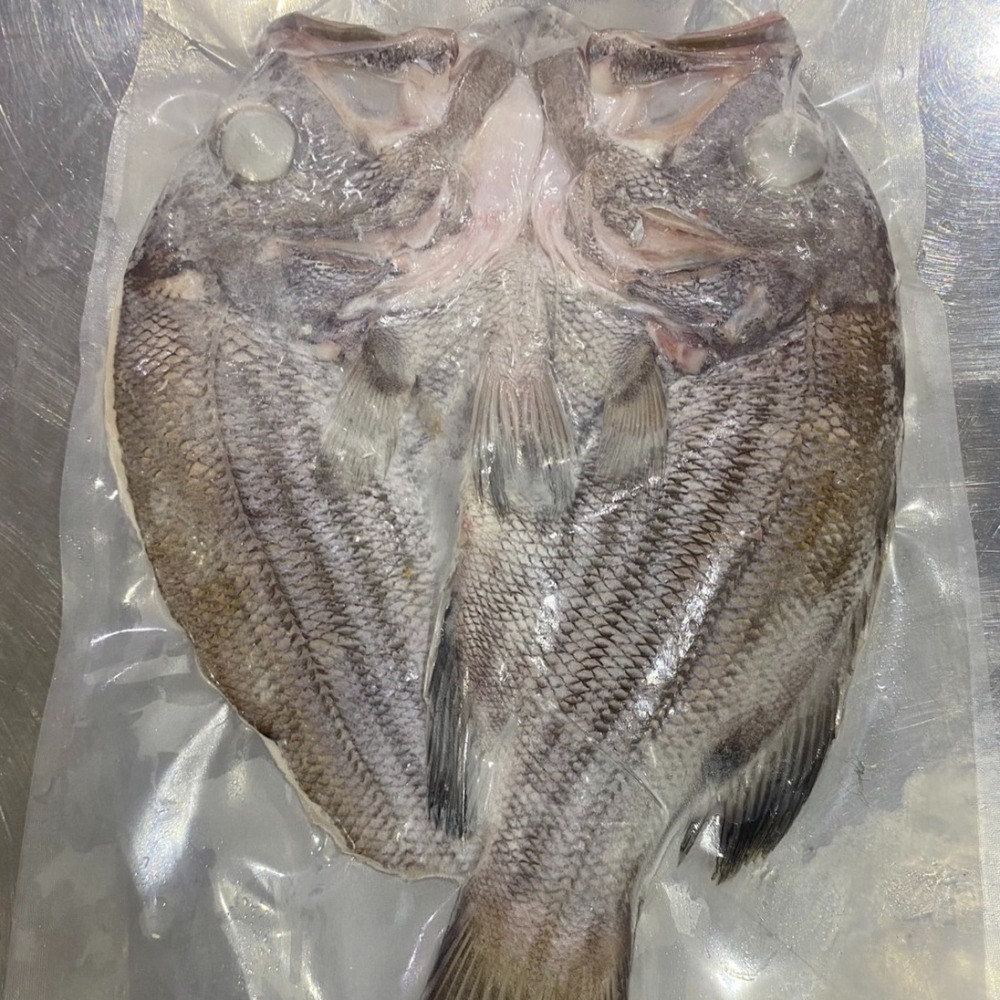 【享島鮮物】澎湖鮮魚_黑大目-細節圖3