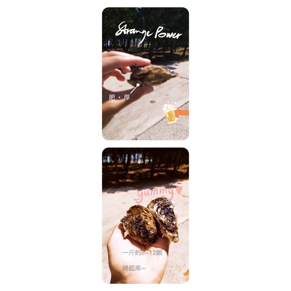 享島鮮物｜澎湖帶殼牡蠣季節限定(重量：一斤)-細節圖3