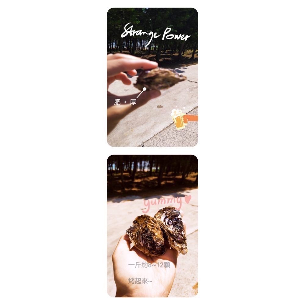 享島鮮物｜澎湖帶殼牡蠣季節限定(重量：一斤)-細節圖3