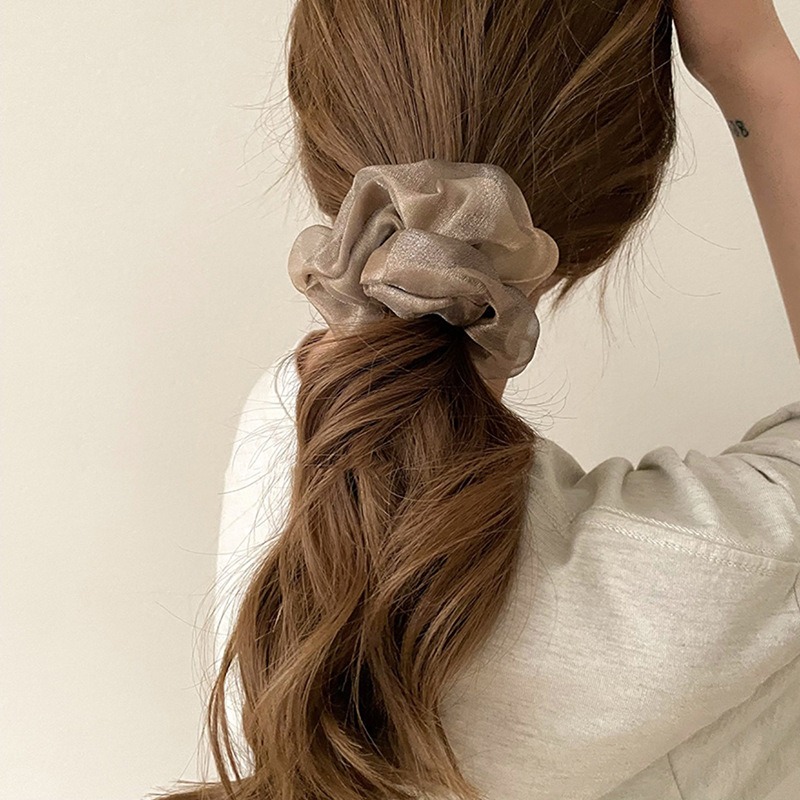 現貨 台灣 ✨ 髮圈 韓風雙層高級歐根紗髮圈 法式浪漫 珍珠光澤 低調奢華 時尚網紗髮圈 大腸圈 髮飾 小紅書同款-細節圖4