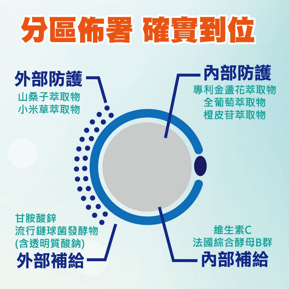 金盞花高單位游離型葉黃素 30粒/盒-細節圖4