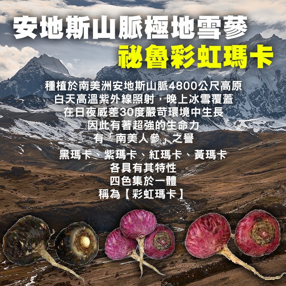 攝立準 彩虹馬卡 60粒/盒-細節圖4