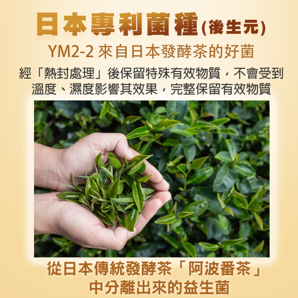 舒止敏 益生菌 30包/盒-細節圖4