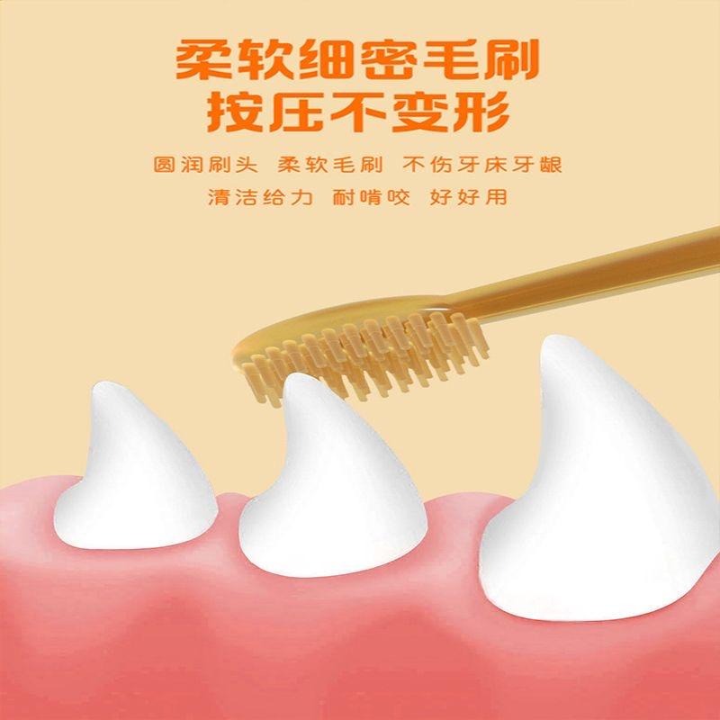 【台灣現貨】ig爆款寵物牙刷單套裝/貓牙刷/寵物口腔清潔牙刷貓咪狗狗口腔清潔護理/狗牙刷/貓牙刷/寵物牙膏/牙刷-細節圖3