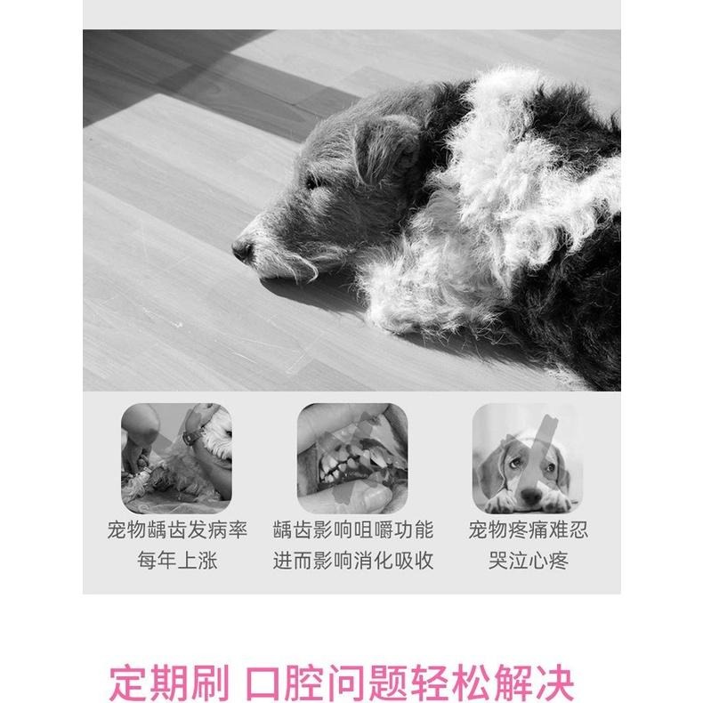 【台灣現貨】ig爆款寵物牙刷單套裝/貓牙刷/寵物口腔清潔牙刷貓咪狗狗口腔清潔護理/狗牙刷/貓牙刷/寵物牙膏/牙刷-細節圖6