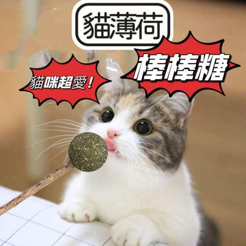 超便宜🔥造型薄荷棒棒糖-去毛球貓磨牙潔齒棒 貓咪玩具 寵物用品 舒緩神經 造型玩具 貓草玩具