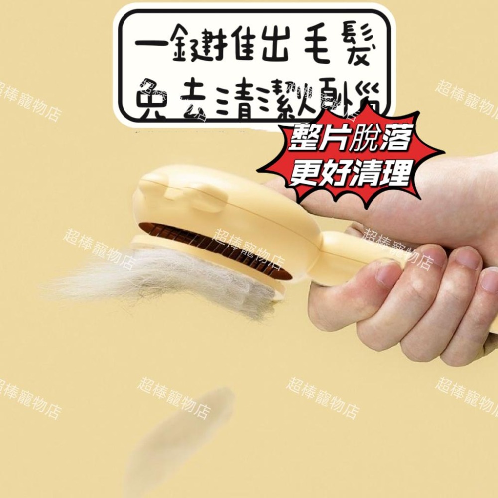 【台灣現貨】“貓餅”除毛梳/貓犬除毛梳/貓咪寵物梳毛 寵物梳 梳毛刷 貓梳子 貓咪梳毛 梳毛器貓咪梳毛器-細節圖3