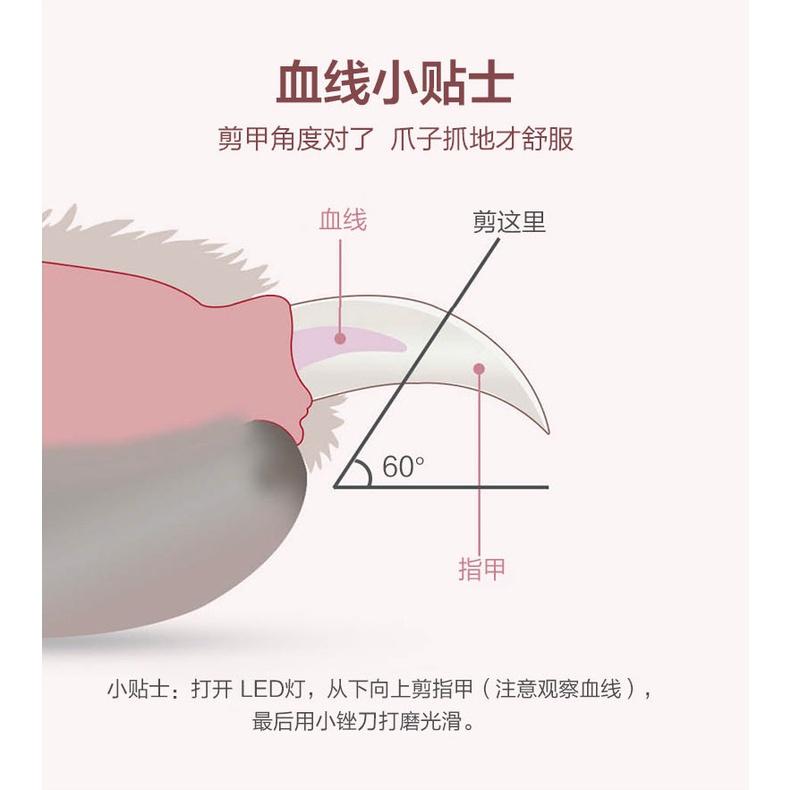 【台湾出货】寵物指甲剪 寵物剪刀 寵物安全剪 指甲剪 LED照明 寵物剪指甲 寵物銼刀 貓指甲 狗狗指甲剪 清潔美容用品-細節圖5