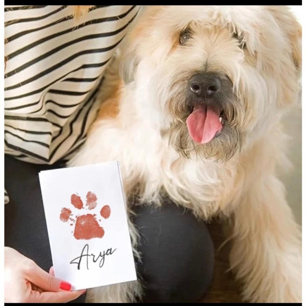 【超棒寵物店】ig同款現貨🔥全站最大尺寸寵物專用手足印台 不沾手 寵物 貓 狗 手足印台 印油 手足印 手腳印 手印-細節圖2