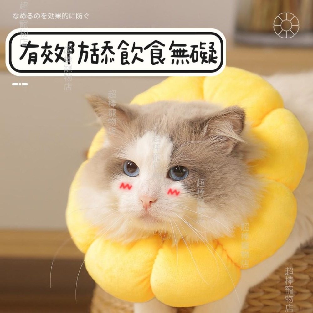 【12H發貨 現貨】寵物防舔頭套 絕育防護頭套 防咬頭套 防舔圈 防咬圈 狗狗頭套 貓咪頭套 伊莉莎白頭套 寵物頭套-細節圖2