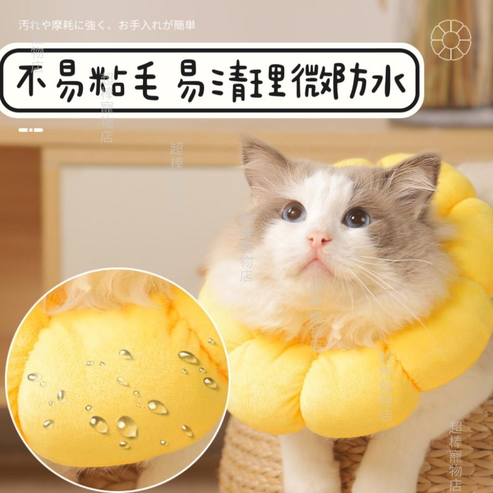【12H發貨 現貨】寵物防舔頭套 絕育防護頭套 防咬頭套 防舔圈 防咬圈 狗狗頭套 貓咪頭套 伊莉莎白頭套 寵物頭套-細節圖3