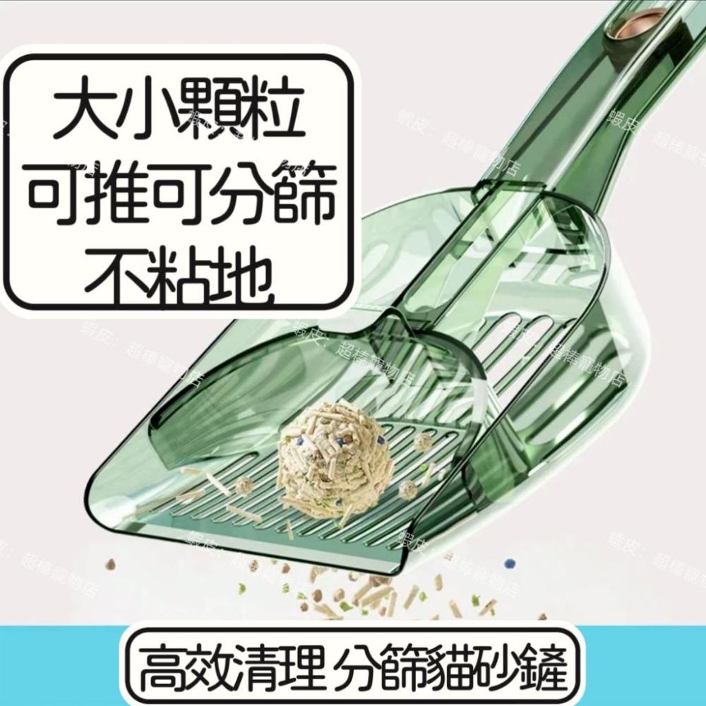清倉特賣貓砂鏟🔥更精準 分篩豆腐貓砂鏟子 膨潤土爬寵物倉鼠貓咪鏟屎神器 清潔細小孔洞鏟子 貓鏟 鏟貓砂 貓-細節圖2