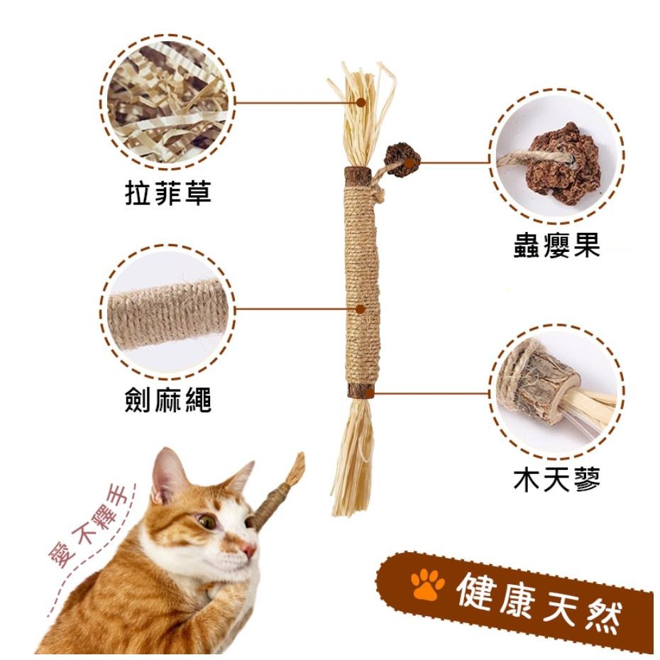 💗新店開幕🔥全站最低價·貓零食 磨牙棒 潔牙棒 貓咪玩具 貓玩具 蟲癭果木天蓼棒啃咬組合新款貓玩具 潔牙去牙垢 清新口-細節圖2