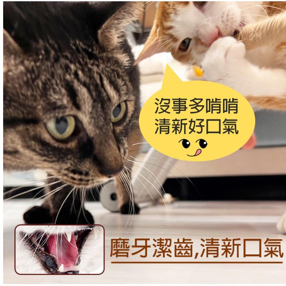 💗新店開幕🔥全站最低價·貓零食 磨牙棒 潔牙棒 貓咪玩具 貓玩具 蟲癭果木天蓼棒啃咬組合新款貓玩具 潔牙去牙垢 清新口-細節圖3