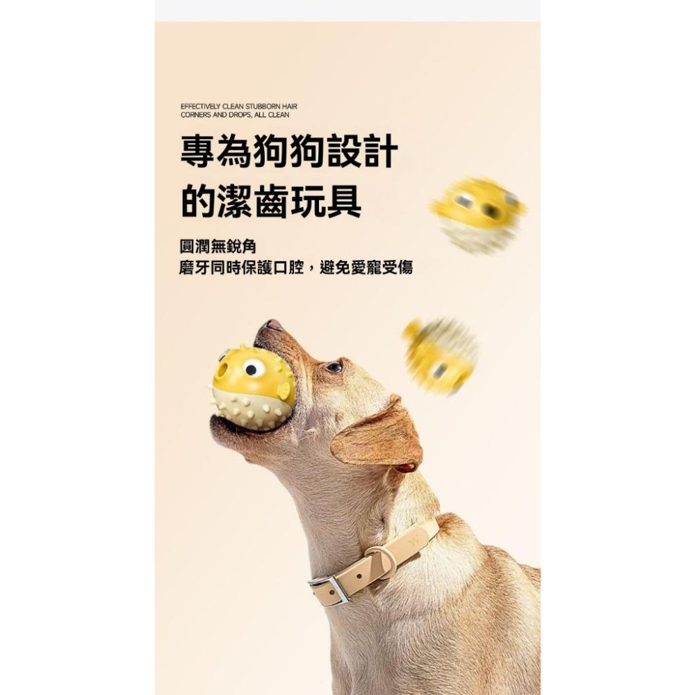 隔日到貨🔥磨牙自嗨球 狗漏食玩具狗狗玩具球 狗玩具球 寵物玩具球 寵物球 狗玩具 狗狗玩具 狗玩具耐咬 狗狗玩具耐咬-細節圖5