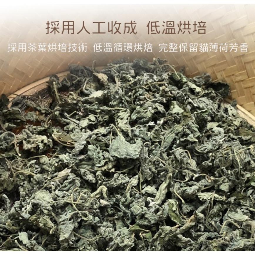 隔日到貨🔥台灣小農種植 特級乾燥貓薄荷10G 單包裝 貓草 貓薄荷 荊芥 貓零食特級貓薄荷/木天蓼果實/蟲嬰果實/-細節圖4